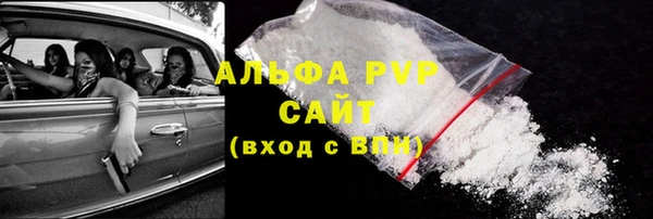 прущий лед Карпинск