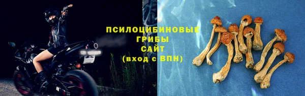 прущий лед Карпинск