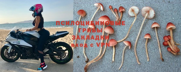 дживик Каменногорск
